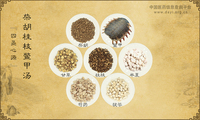 柴胡桂枝鳖甲汤