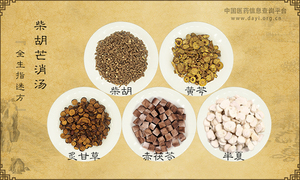 柴胡芒消汤