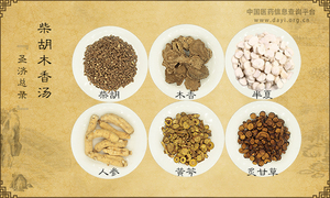 柴胡木香汤
