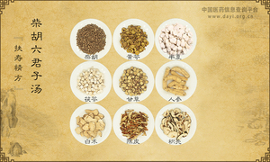 柴胡六君子汤