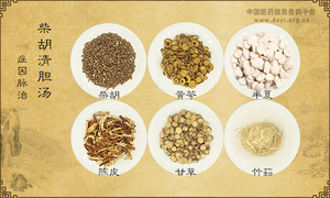 柴胡清胆汤