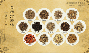 柴胡抑肝汤