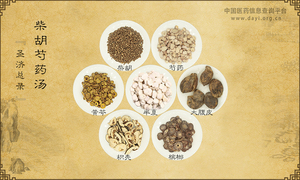 柴胡芍药汤