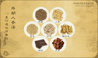 柴胡人参汤