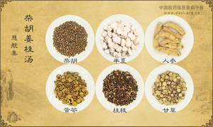 柴胡姜桂汤