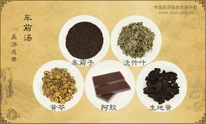 车前汤