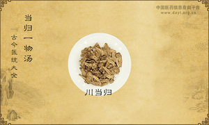 当归一物汤