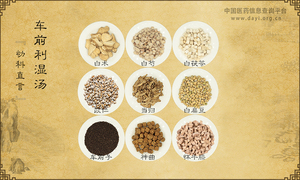 车前利湿汤