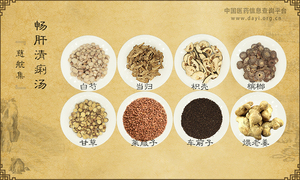 畅肝清痢汤