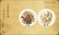 沉香附子汤