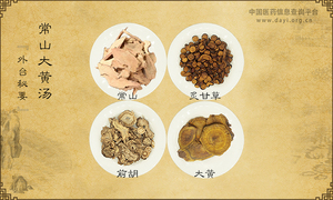 常山大黄汤