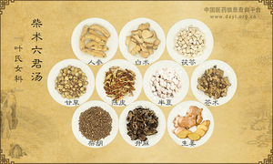 柴术六君汤