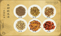 柴胡栀连汤