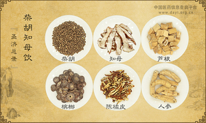 柴胡知母饮