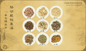 肠功能恢复汤