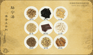 肠宁汤