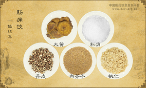 肠痈饮