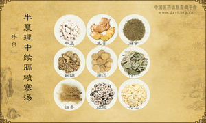 半夏理中续膈破寒汤