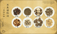 草果茵陈汤