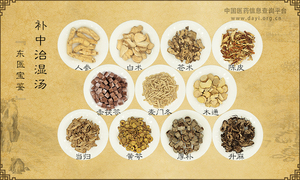 补中治湿汤