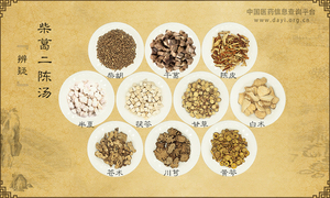 柴葛二陈汤