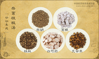 柴葛桂枝汤