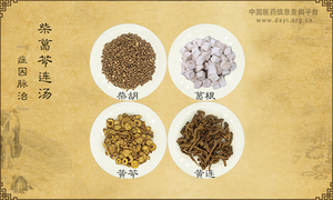 柴葛芩连汤