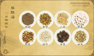 柴陈汤