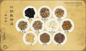 补阴散邪汤
