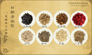 补阴清痢饮