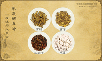 半夏解毒汤