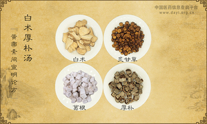 白术厚朴汤