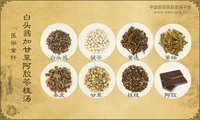 白头翁加甘草阿胶苓桂汤