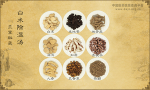 白术除湿汤