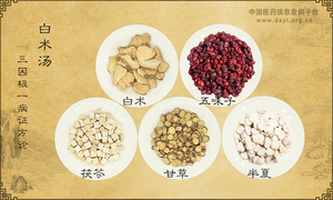 白术汤