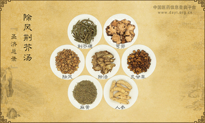 除风荆芥汤