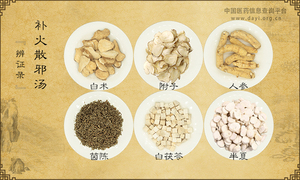 补火散邪汤