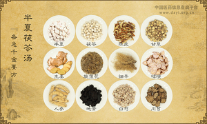 半夏茯苓汤