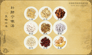 补肺宁嗽汤
