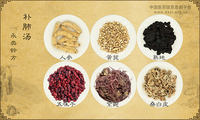 补肺汤