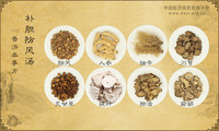 补胆防风汤