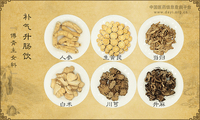补气升肠饮