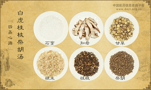白虎桂枝柴胡汤