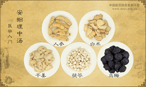 安蛔理中汤