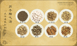苏子降气汤