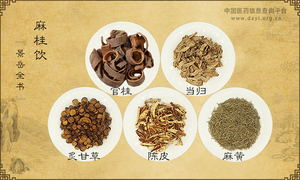 麻桂饮
