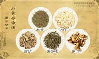 麻黄夺命汤