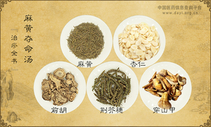 麻黄夺命汤