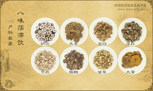 八味荡滞饮