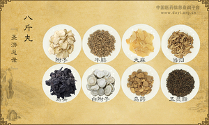 八斤丸
